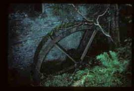 Venton Mill, Dartington, Devon, waterwheel