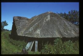 Gunton Park Sawmill, Norfolk,  view of dormer over saws