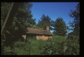 Gunton Park Sawmill, Norfolk,  mess hut and tool shed