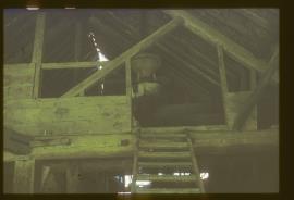 Gunton Park Sawmill, Norfolk,  roof trusses and corn mill