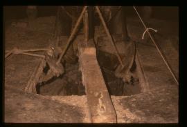 Little Corby Mill, Warwick Bridge, Cumbria, damzel and shoe