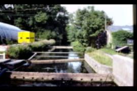 St Cuthberts Mill, Wells, Somerset, leat from north and a parallel one to the right