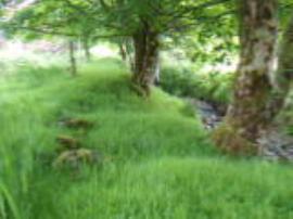 Lochbuie - probable click mill site on Sruthan a Mhuillin