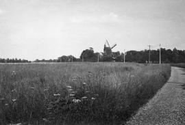 Composite mill, Little Laver