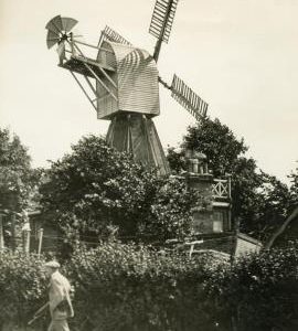 "Wimbledon Common, Surrey"