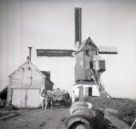 "Moulin du Nord, Hondschoote, Nord"