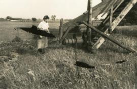 "M. Delia, Hoymille, Bergues, Nord"