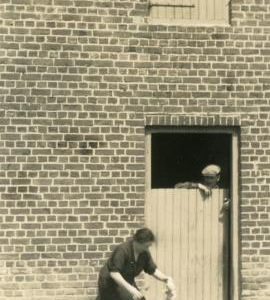 "Klooster Molen, La Croix Rouge, Rexpoede, Nord"