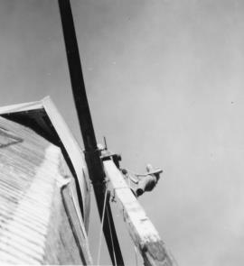 Union Mill, Cranbrook, Kent, restoration work in progress