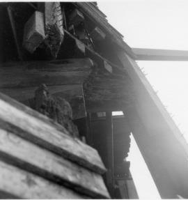 Union Mill, Cranbrook, Kent, restoration work in progress