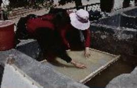 Dege Papermaking Evening pulp in mould.