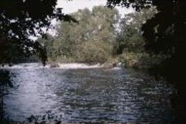 Howsham Weir