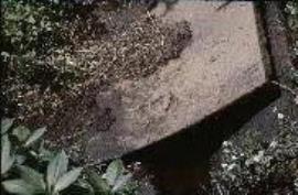 Kelham - Breast Plate