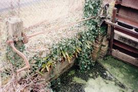 Roke Farm Wheel, Bere Regis, Dorset, hatch handle