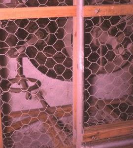 Blythe Bridge Mill, Blythe Marsh - the turbine (end), showing shaft and controls