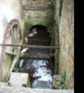 View of the waterwheel, South Moreton Mill, South Moreton