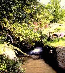 Henley Mill, Wookey, Somerset, Spillway into River Axe from the south