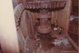 Hampshire, Waltham Chase Mill, pit wheel and wallower