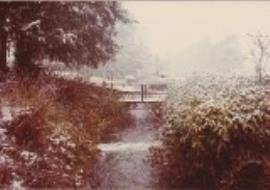 Hampshire, Waltham Chase Mill, tail race