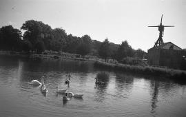 "Wind and watermill, West Ashling, Sussex"