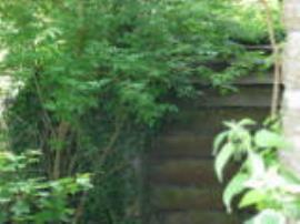 Dulcote West Mill, Somerset, waterwheel