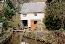 Winterbourne Steepleton, Dorset
