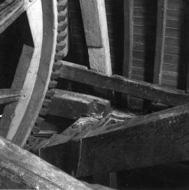 "Interiors of Cranbrook, a week after the opening"