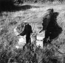 "Frittenden, Kent, collapsed post - trestle details"