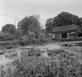 Checkhill Farm Mill, Kinver - mill and barn seen across pond