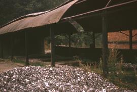 Consall Mill, Ipstones - the flint (calcining) kilns