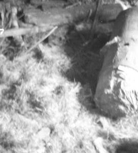 Gayton Mill, Gayton, Staffordshire - piece of upright shaft