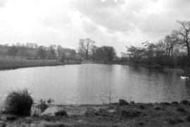 Farewell Mill, Farewell - millpond looking from near mill
