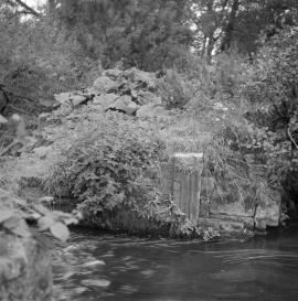 Great Bridgeford Mill, Great Bridgeford - iron grooves for sluicegate across main stream