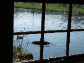 Shugborough Farm Mill, Shugborough Park, Colwich - millpond and overflow seen from inside mill