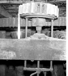 Little Aston Mill, Aldridge - stone nut with foot rule