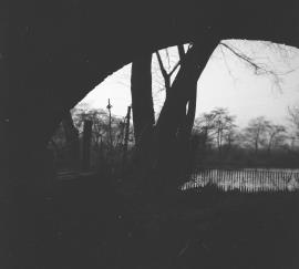 Little Aston Mill, Aldridge - view of pond through wheelhouse
