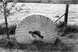Watermill, Abbots Bromley - peak stone in mill garden
