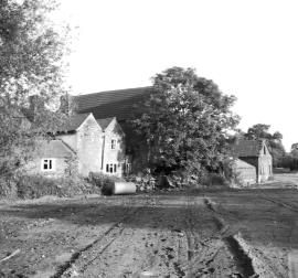 Shugborough Farm Mill, Shugborough Park, Colwich - millstones in yard