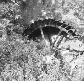 Shugborough Farm Mill, Shugborough Park, Colwich - millstone in yard and info on waterwheel