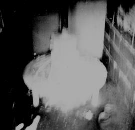 Somerford Hall Mill, Brewood - water turbine