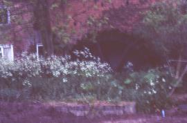 Smestow Mill, Wombourne - waterwheel
