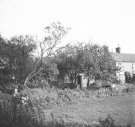 Wyndford Mill, Blymhill - looking approximately north east (with part of the dried up millpond)