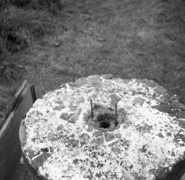 Weston Jones Mill, Weston Jones - burr bedstone removed from the mill, on trailer to go to Avoncroft Museum