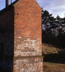 Wodehouse Mill Pumping Wheel, Wombourne - mill (tail side) and part of house seen across stream
