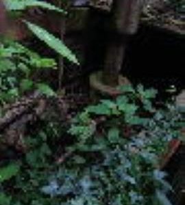 Stramshall Mill, Stramshall - bottom of turbine shaft and vane control rod
