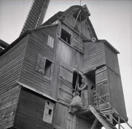 The Miller (Abel Deschodt)? Moulin Deschodt, Wormhoudt, Nord, France