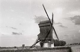 Moulin de Hoymille, Bergues, Nord