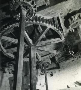 Spur wheel and stonenuts, Belton (Westgate)