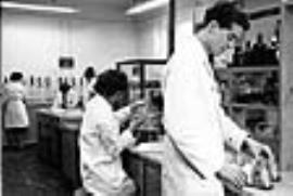 Laboratory, Solway Mills, Silloth