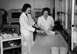 Laboratory, Solway Mills, Silloth